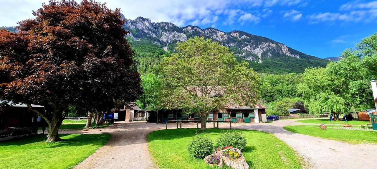 Apartamento Muehle In Der Pferdewelt Reichenau Exterior foto